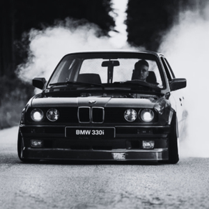 Из чёрного мерина