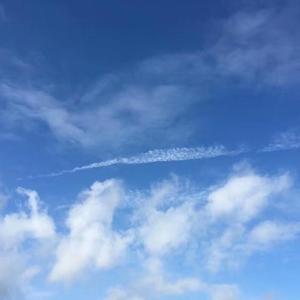 李俊 - 风有句话没说