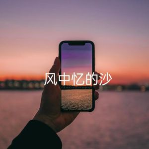 风中忆的沙