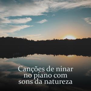 Hora de relaxar (Caminhada na floresta)