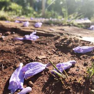 姐夫开门36土土 作品 C90 320