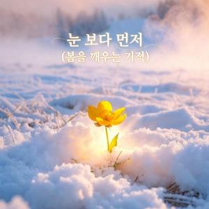 눈보다 먼저 (봄을 깨우는 기적)