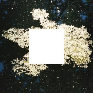 Instance