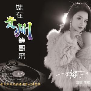 妹在贵州等哥来