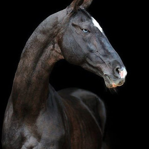 I'm Da Sh*T (slowed)