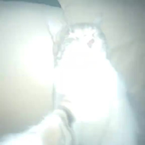 Guddi Riddim (sped up)