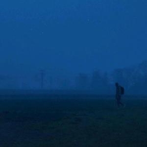 Fog