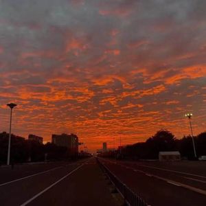 与你无关  【抖音热播】