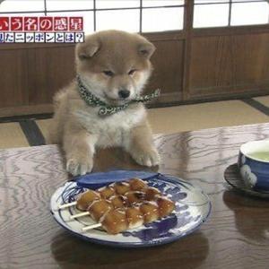 beat VI w tdundere (feat. jxlyy)