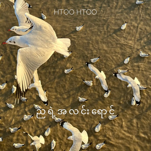 ညရဲ့အလင်းရောင်