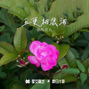 冻冰歌（卓玛版）