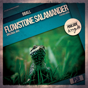 Flowstone Salamander (Original Mix)