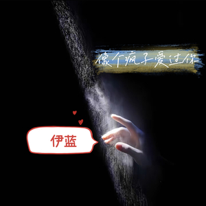 像个疯子爱过你