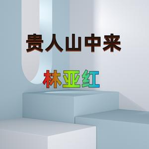 君不见起舞翩翩