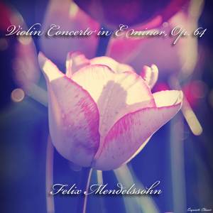 Violin Concerto in E minor, Op. 64 - I. Allegro molto appassionato