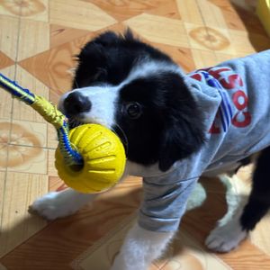 想想(prod.by MORROW)