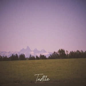 ไม่ได้ตั้งใจ