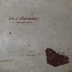 Story About The Ship