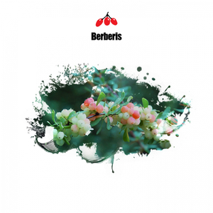 Pupsi (Original Mix)