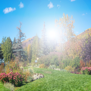 이완과 요가음악