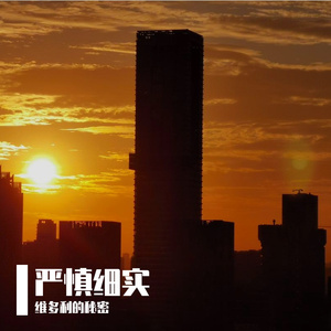严谨细实