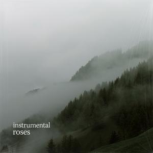 roses (no/vox’s version)