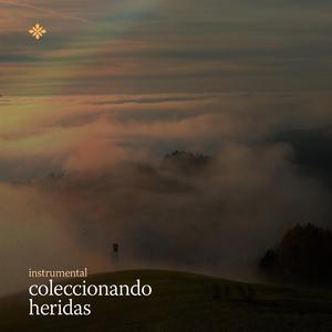 coleccionando heridas (no/vox’s version)