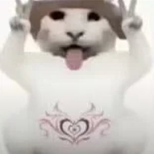 哈基基米大踏喵的唱