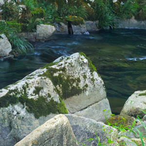 厄払いの宴　 feat. 初音ミク