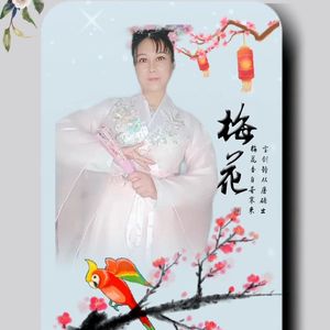 梅花 （舞曲版）