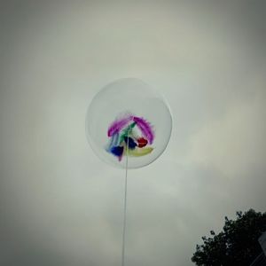 我也想抓住丢掉的梦