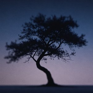 雨泥.幕骶