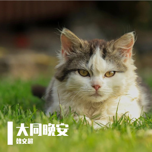 大同晚安