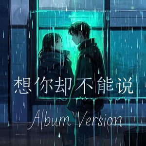 想你却不能说