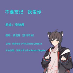 不要忘记我爱你（Cover：张碧晨）