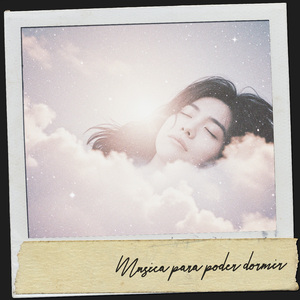 Crepúsculo en el Arboreto de Jade