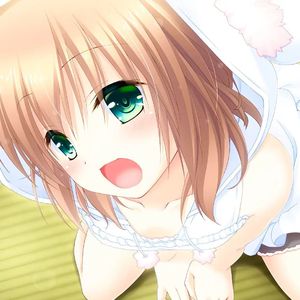 Galgame里不是这样的