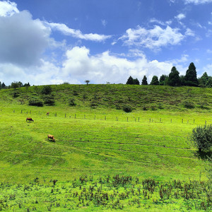 孤独病（prod by Ay beat）