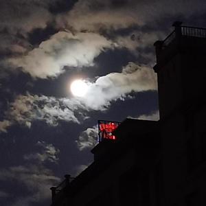 My lover（我的挚爱）