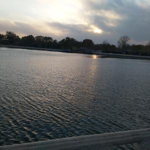 w d any mo 钢琴版