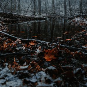 Winter Spring 免费不可商用