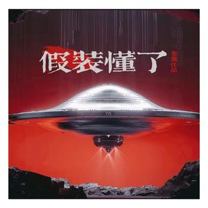 假装懂了