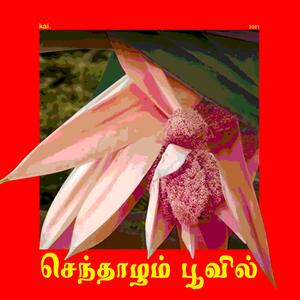 SenthazhamPoovil (Kaï Remix) (Kaï Remix)