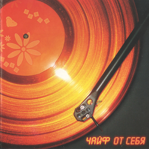 Бедная собачка