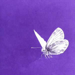 【免费伴奏】 Melodic Rap/R&B PopRap Trap