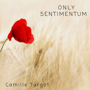 Only Sentimentum