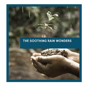 Tiger Lilies and Forests