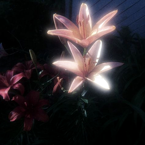 "Chromosomes" - APMOZART Type Beat