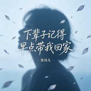 下辈子记得早点带我回家