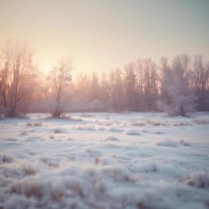 눈꽃이 피어나는 순간